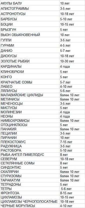 Аквариумные рыбки - содержание и уход по пунктам (как правильно ухаживать в аквариуме, краткая инструкция для начинающих): что нужно в домашних условиях, кормление, растения (удаление водорослей), вода, совместимость, оборудование (аэратор, фильтр, осветительыне приборы, термометр), заболевания и профилактика, наблюдение, продолжительность жизни