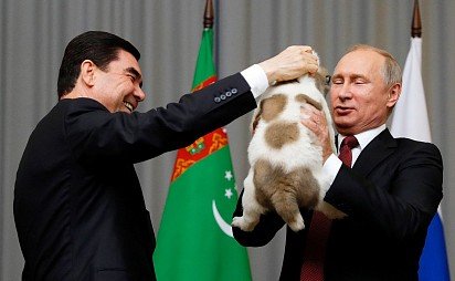 Алабай — описание породы собаки от А до Я