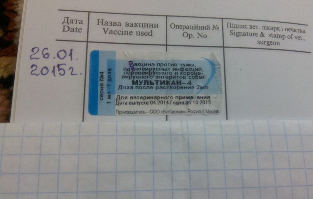 Мультикан 4: инструкция по применению вакцины для собак и щенков, дозировка и показания к использованию