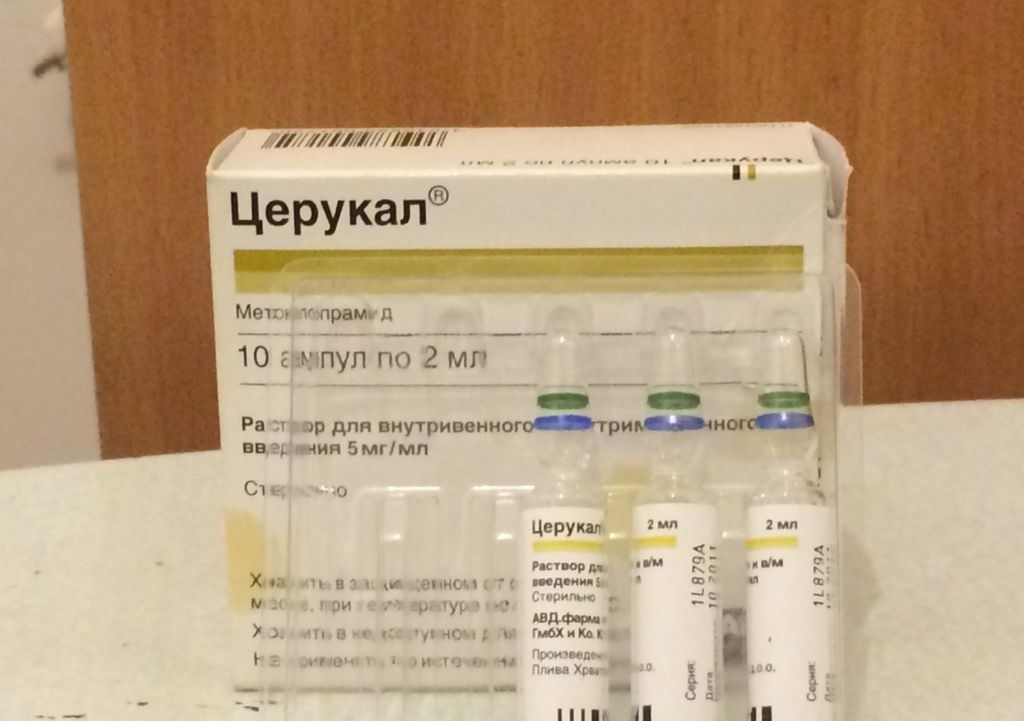 Церукал для собак и кошек: инструкция по применению и дозировка противорвотного, цена и аналоги