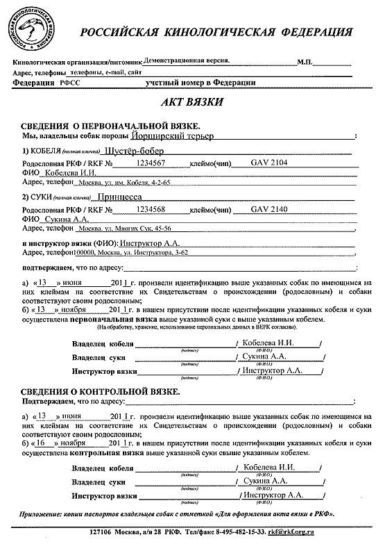 Вязка или случка собак: особенности процедуры, видео и описание, советы