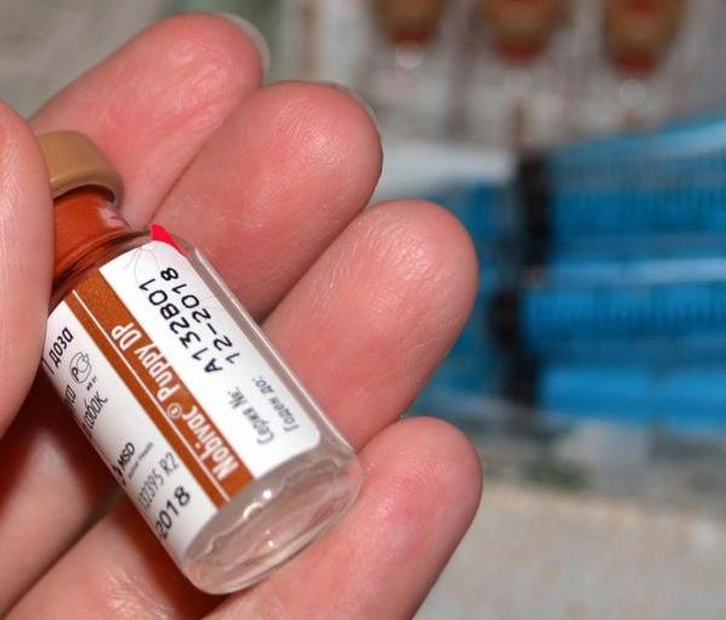 Нобивак паппи: инструкция по применению и схема вакцинации, противопоказания, стоимость и аналоги