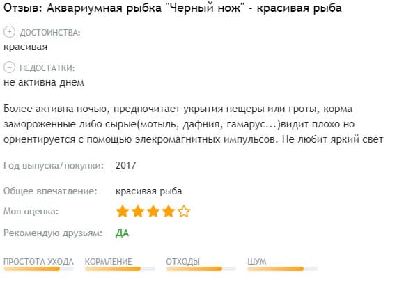Черный нож рыба (аптеронотус, черный принц): содержание аквариумной рыбки, фото, совместимость, описание, уход, кормление, продолжительность жизни, разведение (размножение), отличия самки от самца, развитие мальков, болезни, отзывы, вода, аквариум, растительность, освещение, виды (индийский, стеклянный или зеленый, коричневый, глазчатый, африканский), советы, цена