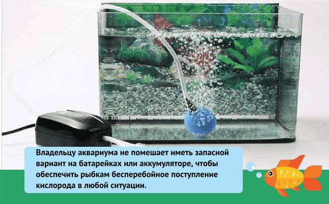 Бесшумный компрессор для аквариума: виды, своими руками, модели, установка, для больших и небольших аквариумов, как пользоваться