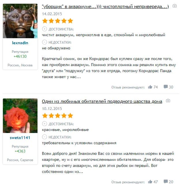 Крапчатый сомик (коридорас, пятнистый сом): содержание и уход за аквариумной рыбкой, чем кормить, отличия самки от самца, как определить пол, размножение (разведение, нерест), болезни, фото, совместимость с другими рыбами, виды, продолжительность жизни, температура воды, кислотность, жесткость, растения, икра, отзывы, цены