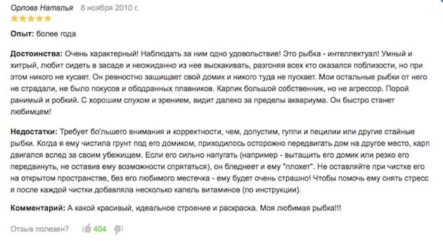 Лабео (черная аквариумная рыбка с красным хвостом): виды (биколор, двухцветный, альбинос, арлекин или конголезский, зеленый, леопарды, черный), совместимость, содержание (требования к воде, освещение, оборудование), размножение (разведение, половое различие, нерест, развитие мальков), кормление, уход, цена, болезны, отзывы, сколько живут, стимулирующие инъекции