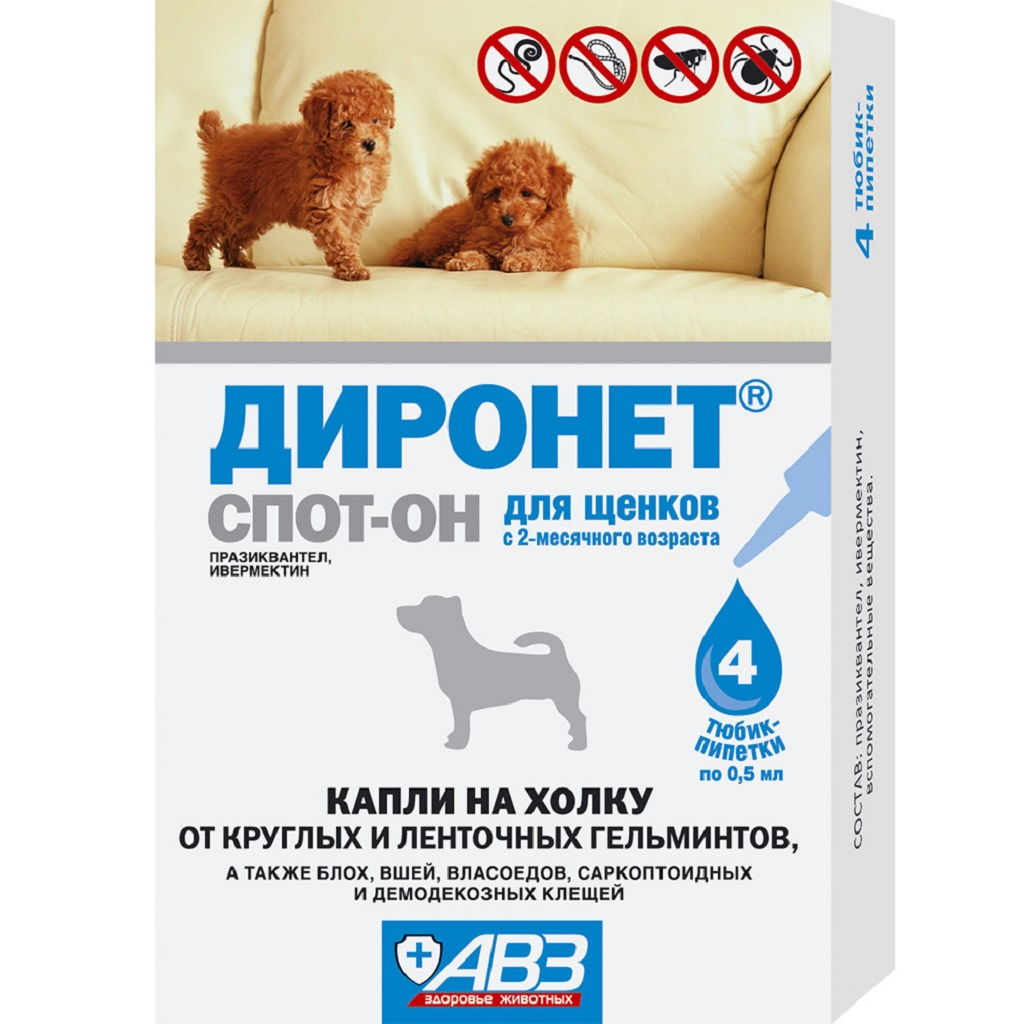 Дегельминтизация собак: как глистогонить собаку, за сколько дней до прививки