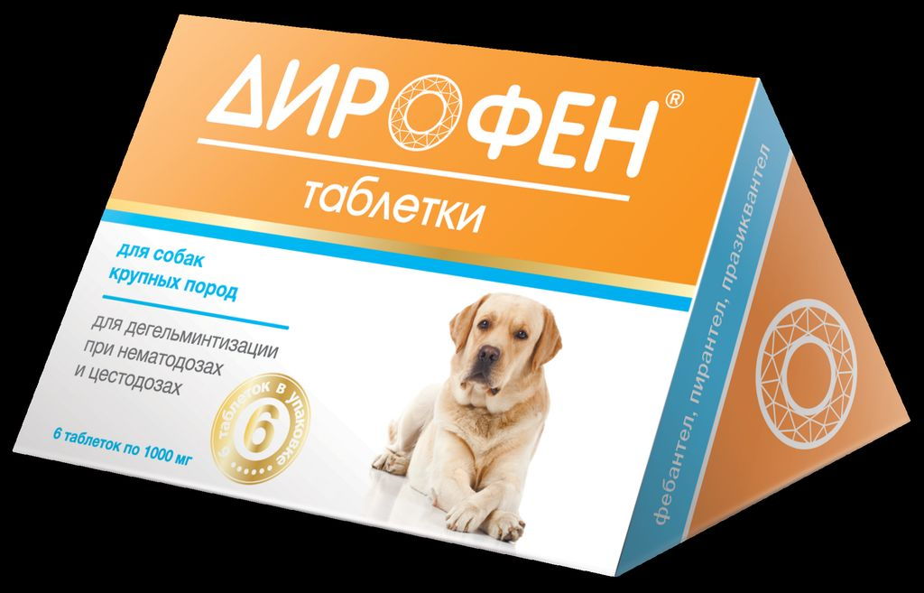 10 препаратов от глистов (антигельминтных) для собак: таблетки, капли, уколы