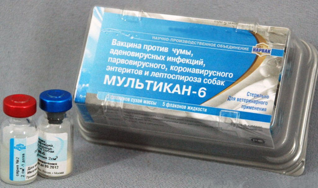 Мультикан 6: инструкция по применению для собак и щенков, описание и аналоги