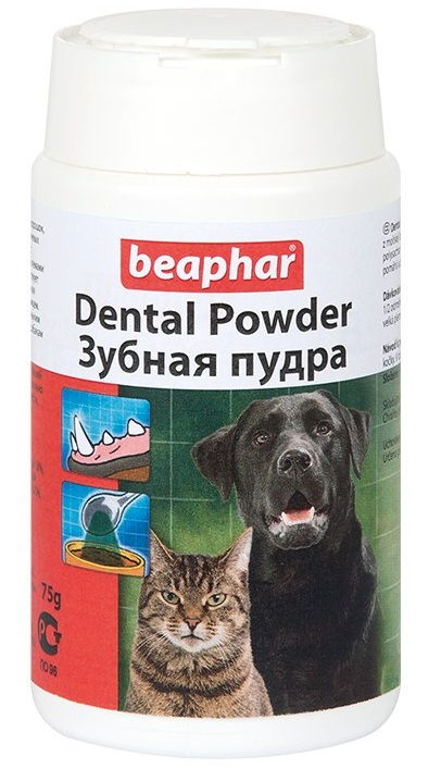 Запах изо рта у кошек: [Что Делать, Лучшие Средства]