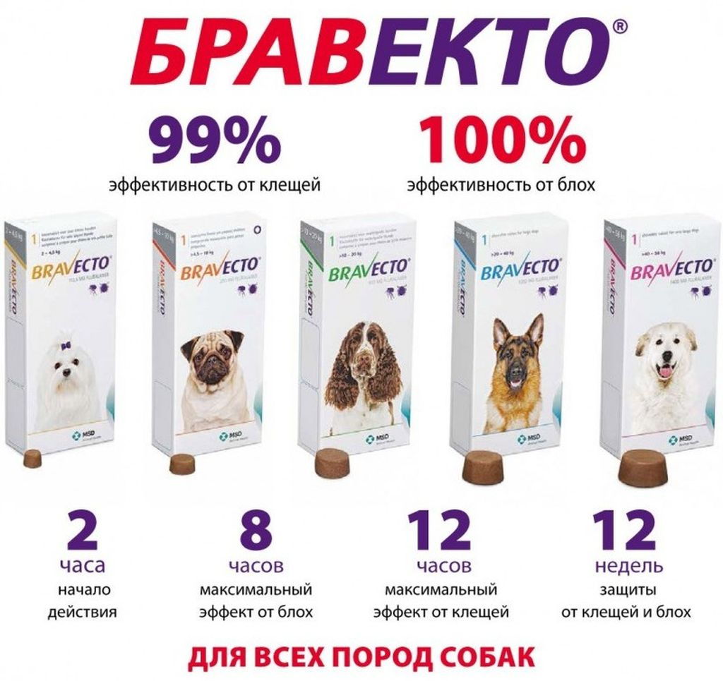 Бравекто для собак от блох и клещей: инструкция по применению и дозировка, побочные действия и аналоги