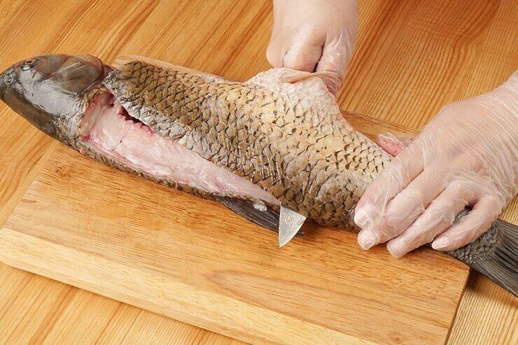 Белый амур: рыба костлявая или нет, вкусовые качества, полезные свойства карпа