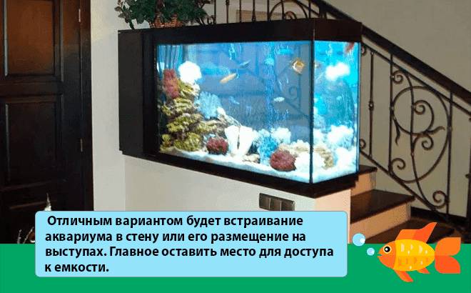 Морской аквариум в домашних условиях: с чего начать, оборудование, запуск, уход, содержание, виды, рыбки, растения, кораллы, самп