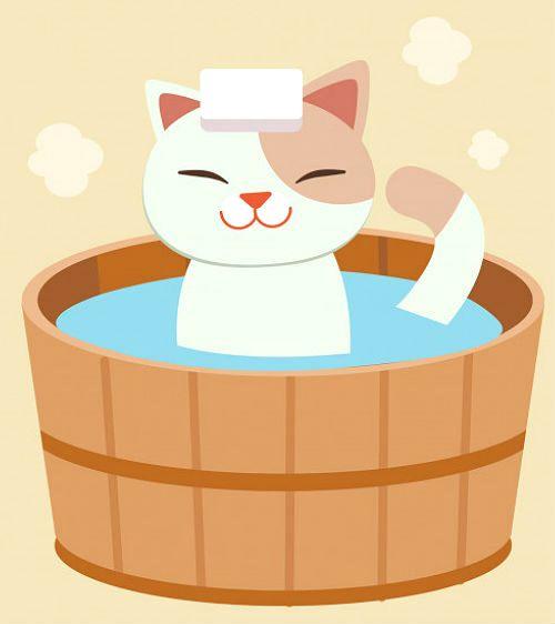 Уход за абиссинским котенком: гигиена, содержание, кормление