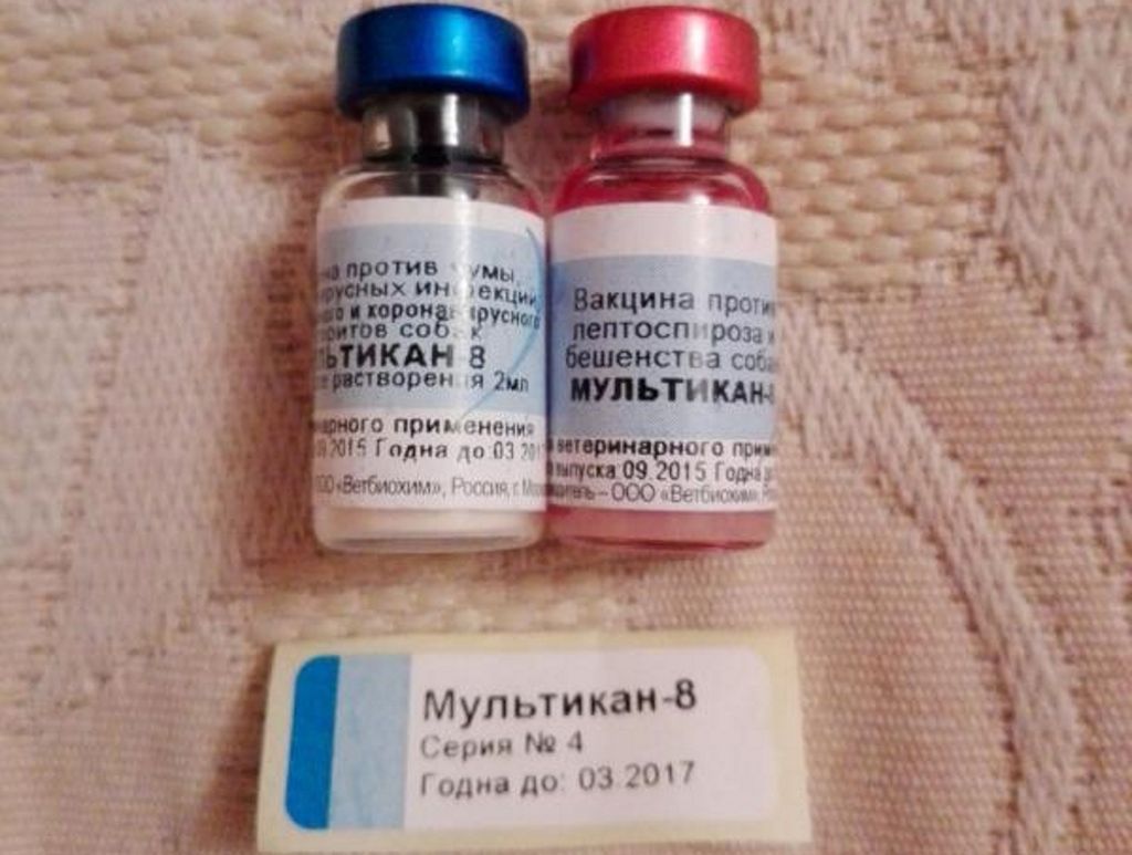 Мультикан 8: инструкция по применению для собак, состав вакцины и форма выпуска, противопоказания