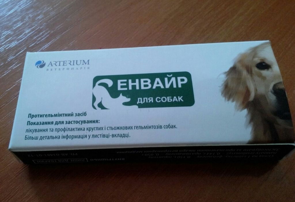 10 препаратов от глистов (антигельминтных) для собак: таблетки, капли, уколы