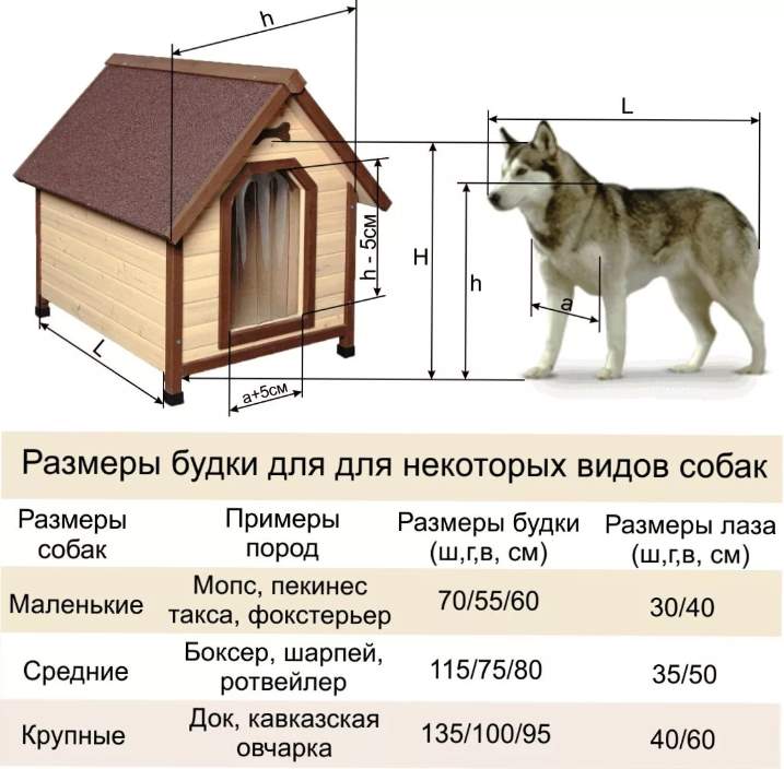 Будка для собаки своими руками: строительство, утепление, фото, видео, чертежи