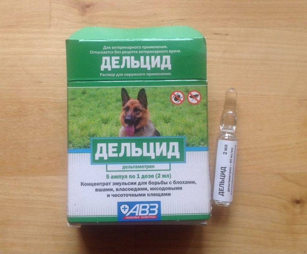 Дельцид: инструкция по применению для собак, показания к использованию и побочные действия
