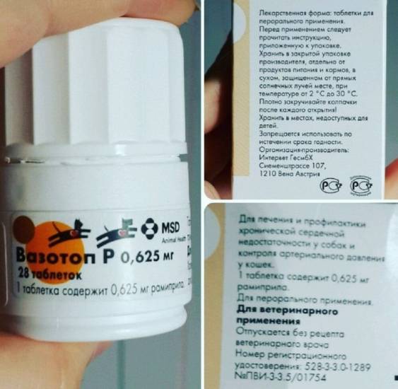 Вазотоп для собак: инструкция по применеию, цена и аналоги