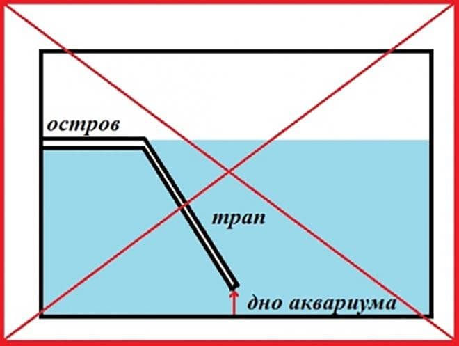 Акватеррариумы для красноухой черепахи: как обустроить, что нужно, оформление, грунт, вода, аквариум, растения, освещение, обогрев, вентиляция, декорирование, условия, что запрещено, соседство