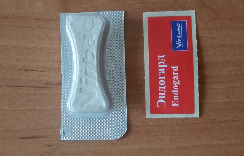 Эндогард: инструкция по применению для собак, дозировка и побочные действия, цена и аналоги