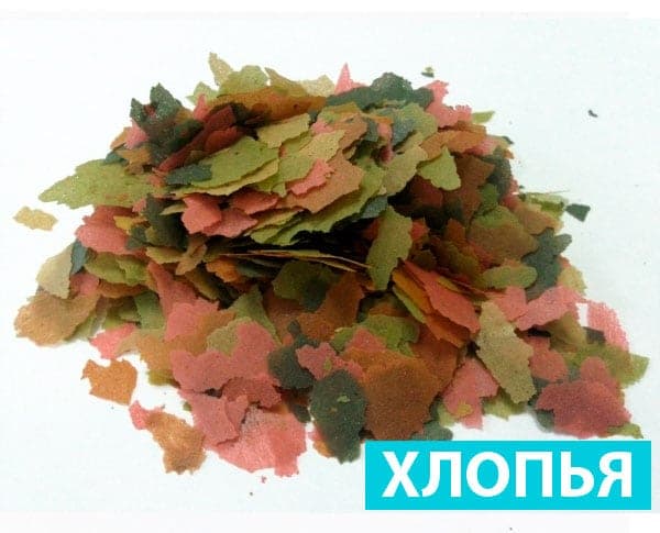 Как кормить рыбку петушка: сколько раз в день, корм (сухой, живой), как правильно и часто делать, мальки, сколько проживают без корма Как кормить рыбку петушка: сколько раз в день, корм (сухой, живой), как правильно и часто делать, мальки, сколько проживают без корма