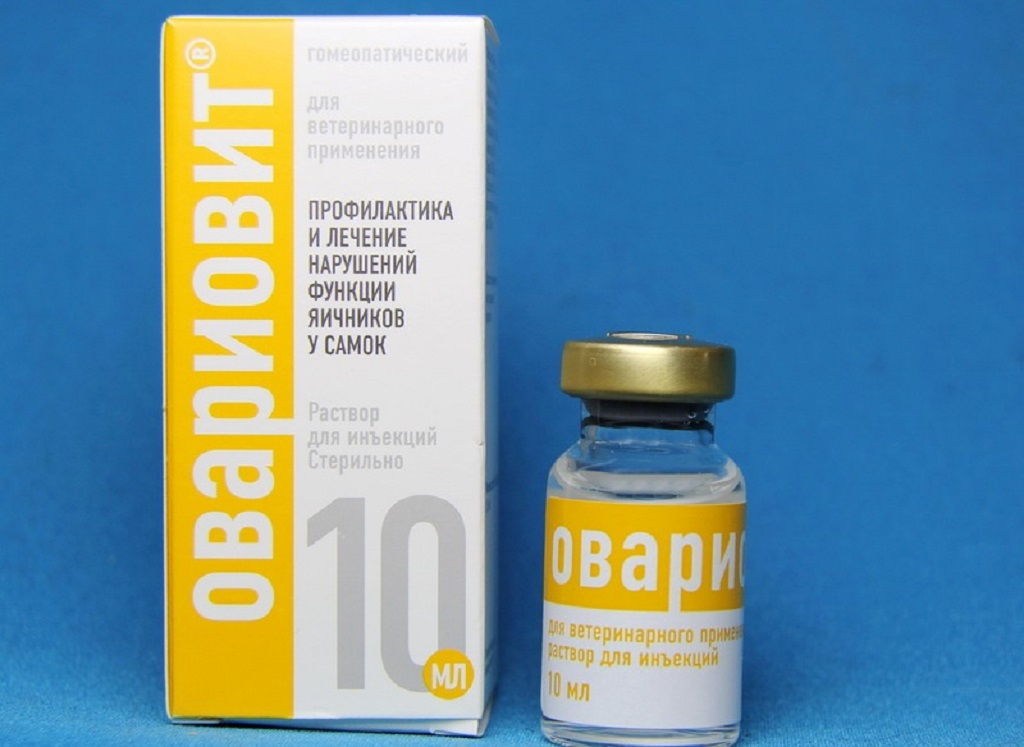 Овариовит для собак: инструкция по применению для собак в ветеринарии
