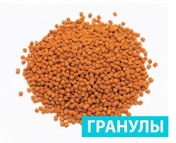 Как кормить рыбку петушка: сколько раз в день, корм (сухой, живой), как правильно и часто делать, мальки, сколько проживают без корма Как кормить рыбку петушка: сколько раз в день, корм (сухой, живой), как правильно и часто делать, мальки, сколько проживают без корма