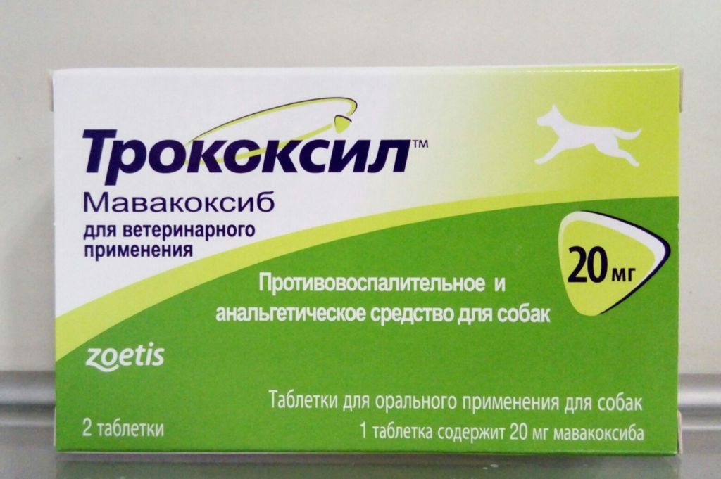 Трококсил для собак: инструкция по применению, противопоказания и побочные действия
