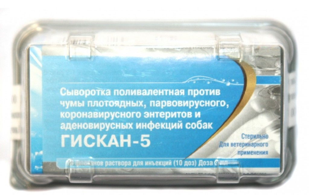 Сыворотка гискан 5 для собак и щенков: инструкция по применению
