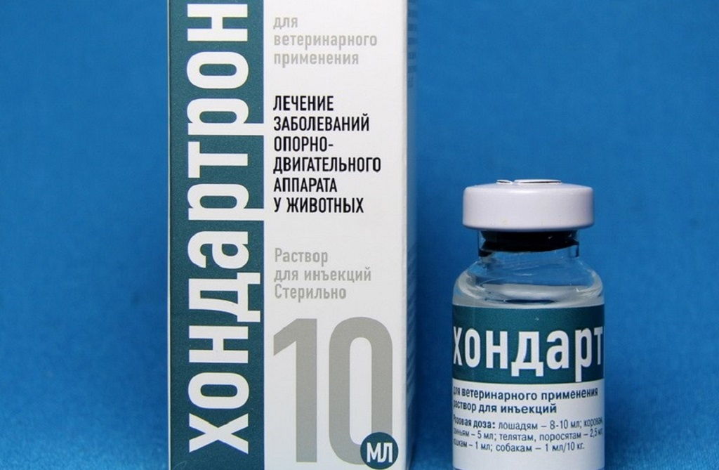 Хондартрон для собак: инструкция по применению, цена и аналоги