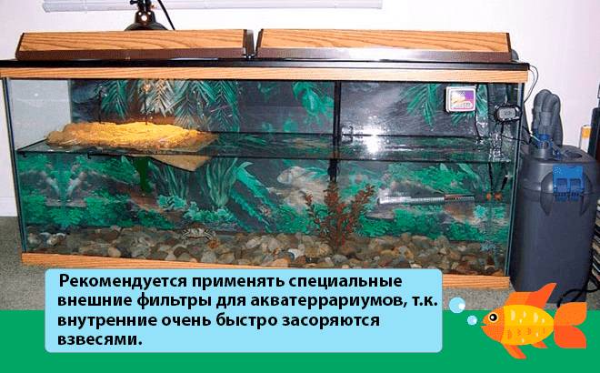 Акватеррариумы для красноухой черепахи: как обустроить, что нужно, оформление, грунт, вода, аквариум, растения, освещение, обогрев, вентиляция, декорирование, условия, что запрещено, соседство