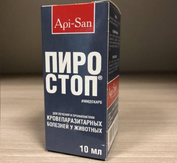 Пироплазмоз у собак: симптомы и лечение в домашних условиях, признаки и профилактика