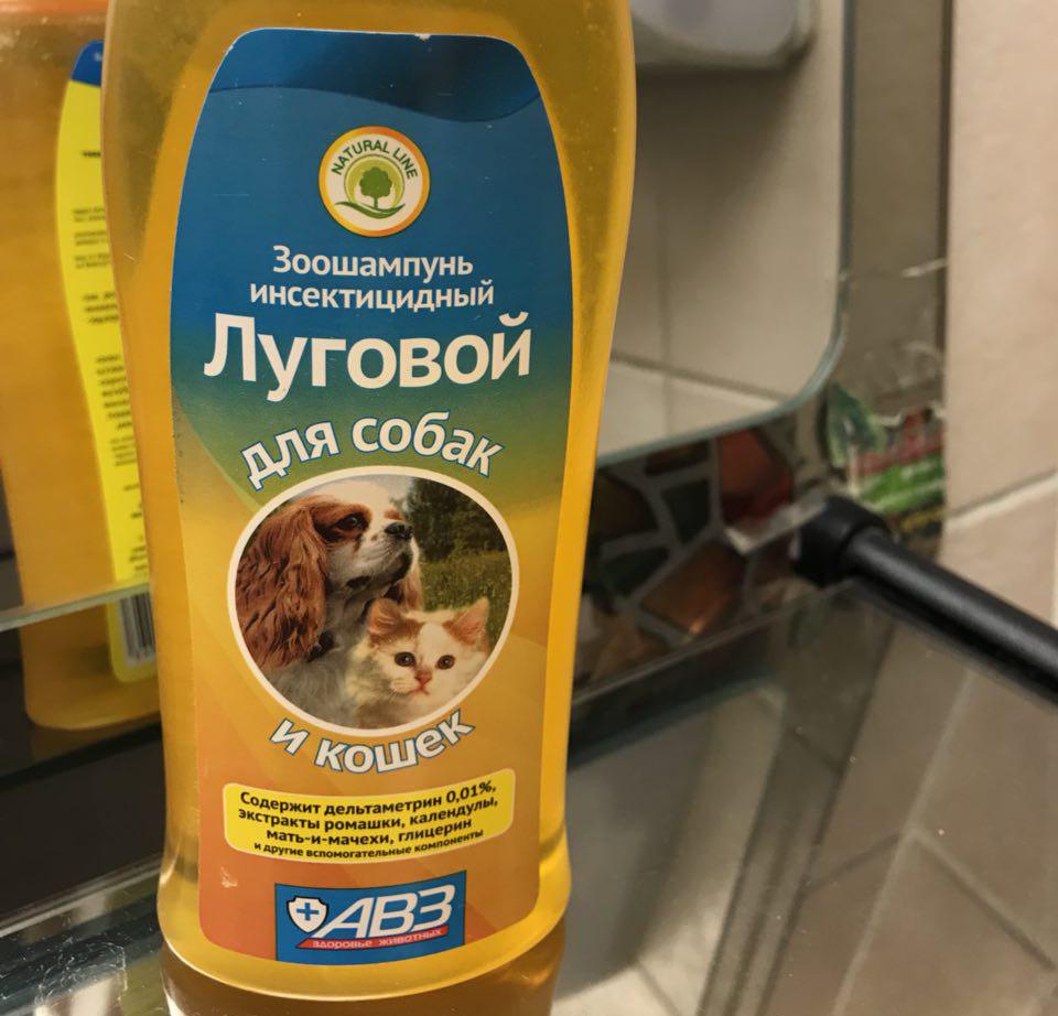 Шампунь от блох для кошек: какой лучше выбрать, как действует противоблошиное моющее средство?