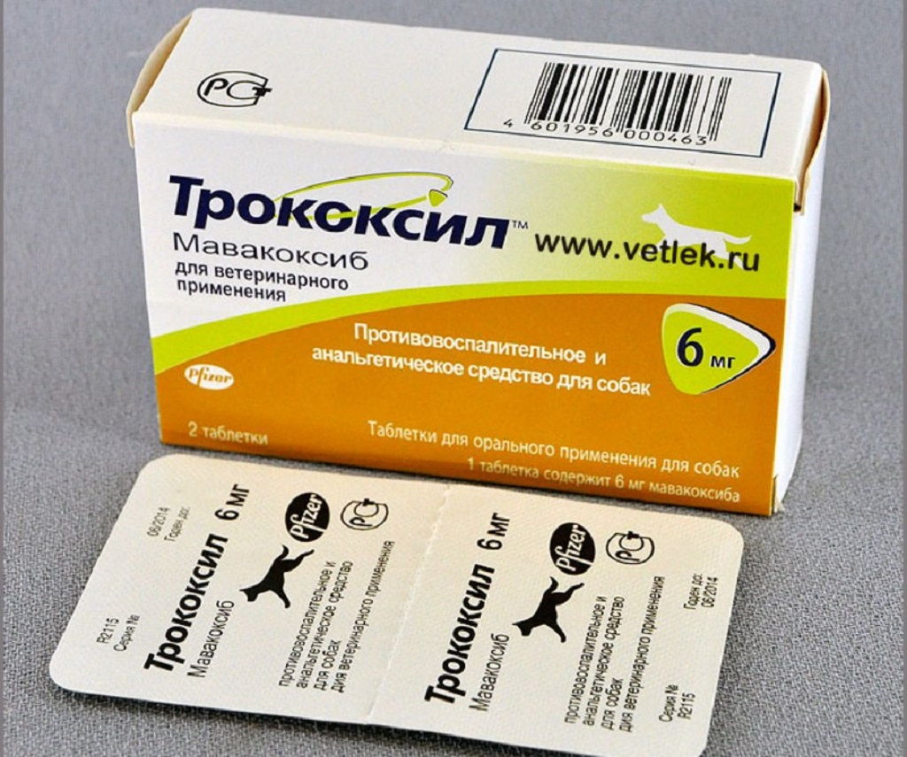 Трококсил для собак: инструкция по применению, противопоказания и побочные действия