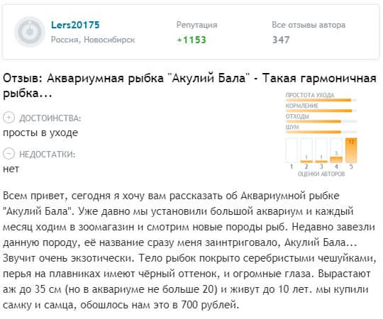 Акулий балу (барбус): содержание аквариумной рыбки, совместимость с другими рыбками, разведение, фото, уход, отзывы, цена, заболевания, нерест, кормление, параметры воды, поведение