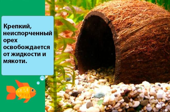 Декорации для аквариума своими руками: декор, украшения, декорарирование, как сделать (изготовление)