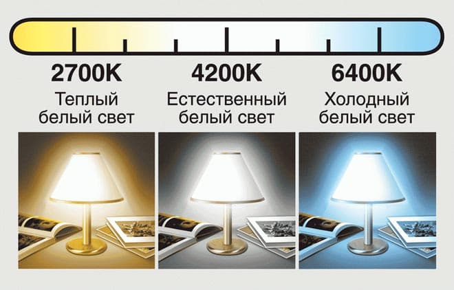 Освещение для аквариума (аквариумный свет): время работы, какой лучше, сколько света, как подобрать, расположение подсветки