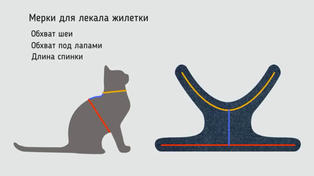 Шлейка для кошки, инструкция по применению: как собрать и надеть на кота?