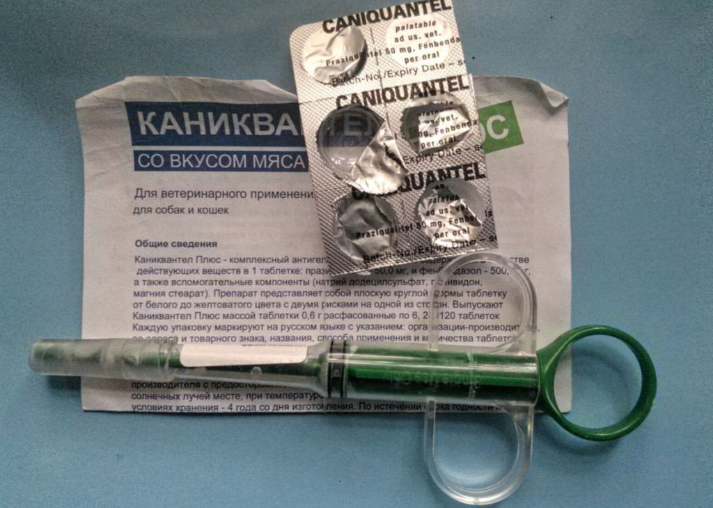 Каниквантел плюс для собак: инструкция по применению и аналоги Каниквантел плюс для собак: инструкция по применению и аналоги