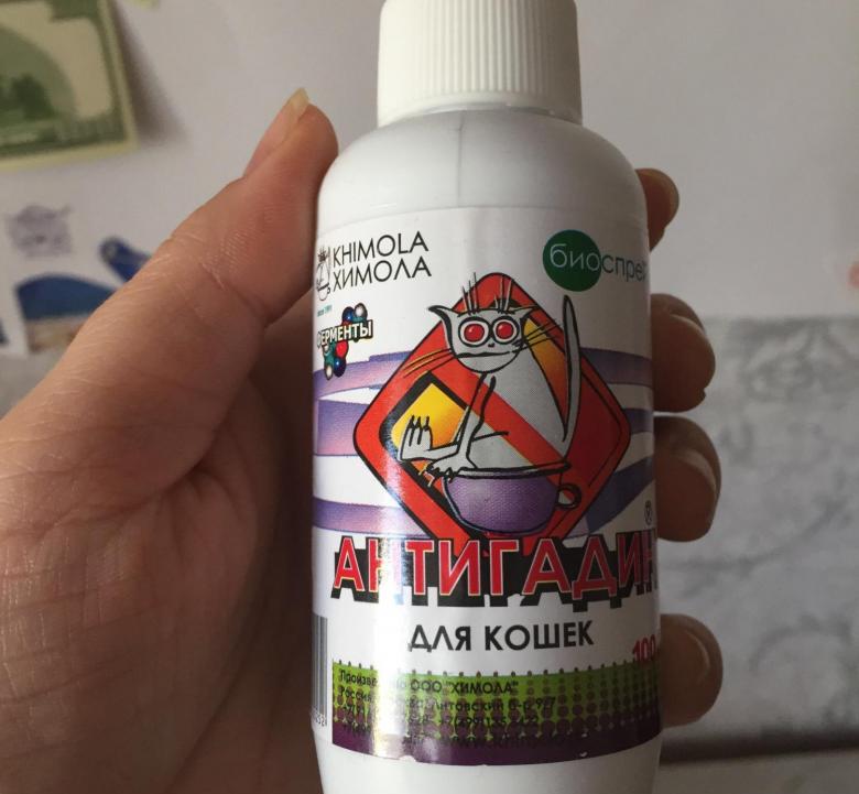 Какой запах не любят кошки больше всего, чем отпугнуть кота, чтобы он не гадил где попало?