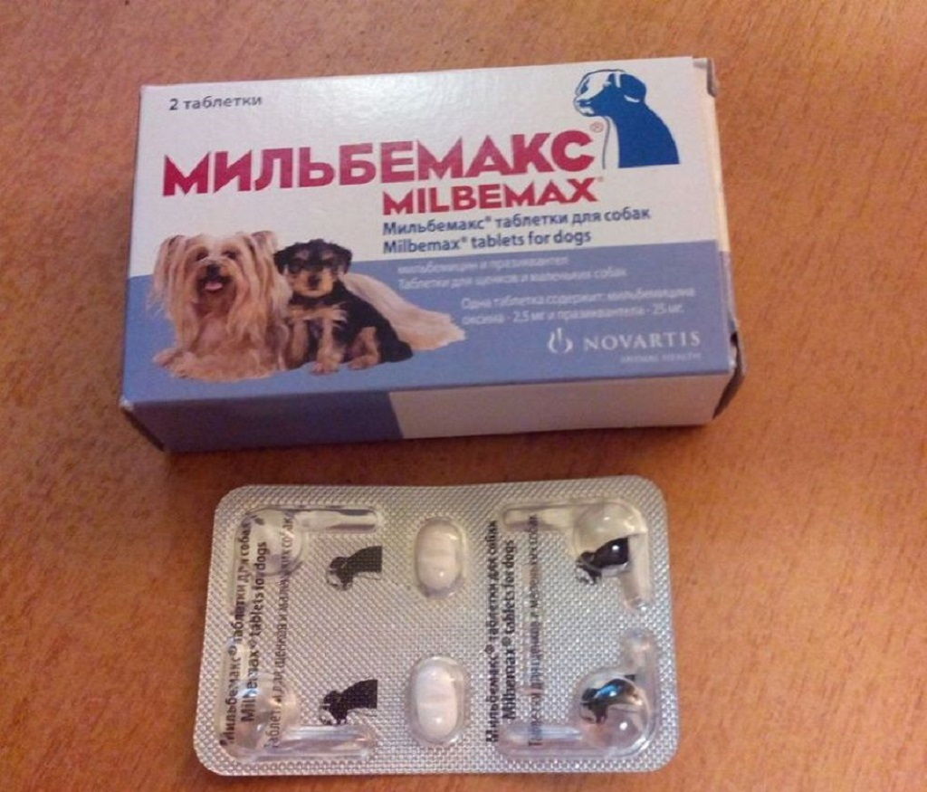 Мильбемакс для собак: инструкция по применению, состав и аналоги