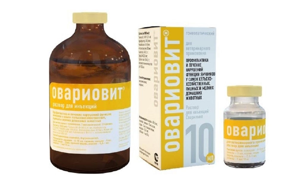 Овариовит для собак: инструкция по применению для собак в ветеринарии