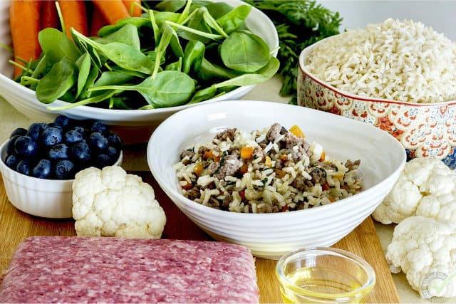 Все про роды и беременность немецкой овчарки