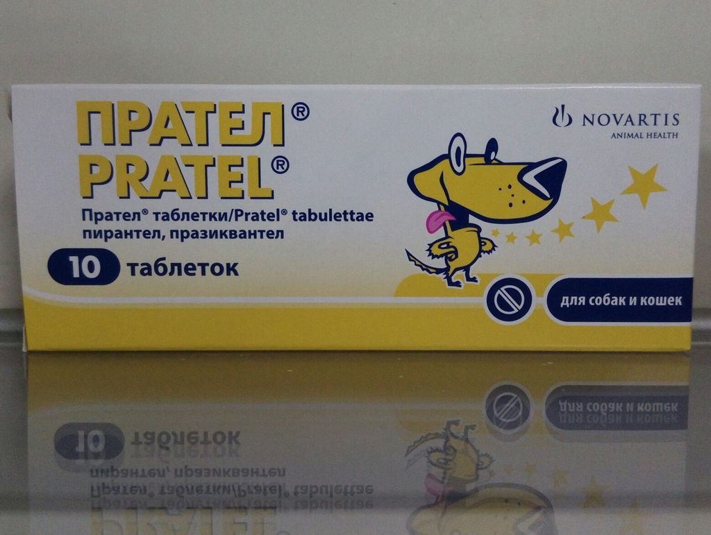 10 препаратов от глистов (антигельминтных) для собак: таблетки, капли, уколы