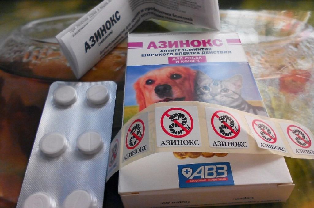 Азинокс плюс для собак: инструкция по применению таблеток