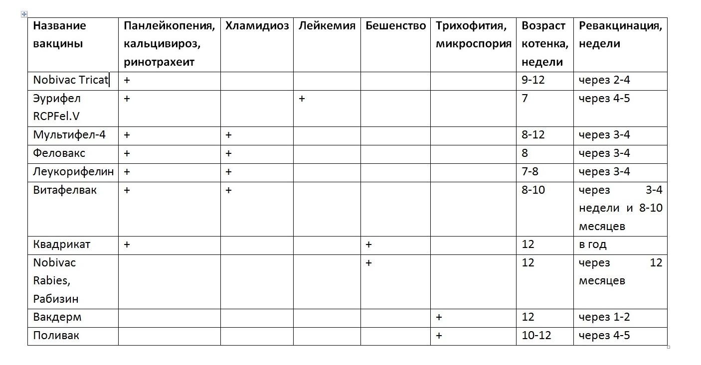 Прививки британским котятам: все о вакцинации домашних питомцев