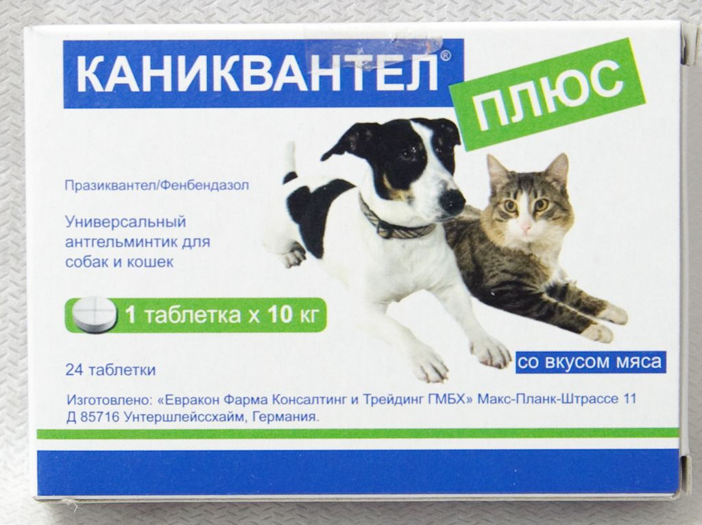 10 препаратов от глистов (антигельминтных) для собак: таблетки, капли, уколы