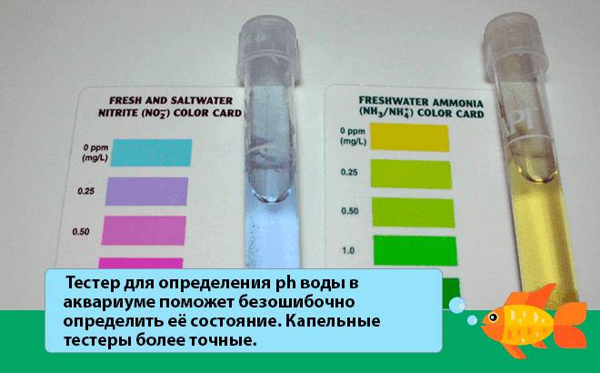 pH воды: что это, измерить (проверить, определить) в домашних условиях, как понизить в аквариуме высокий уровень пш, как повысить, кислотность, тесты
