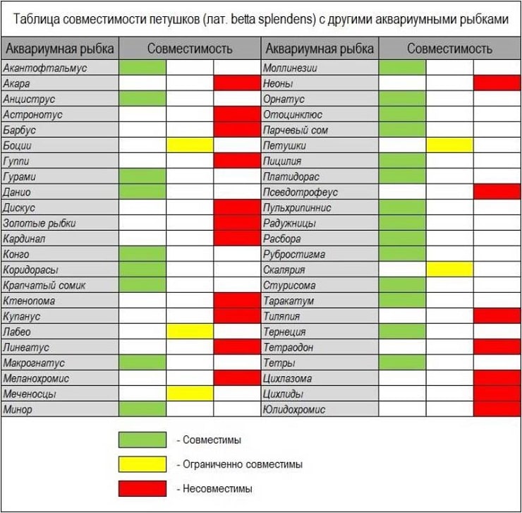 Совместимость аквариумных рыб: параметры и таблица для начинающих, особенности видов и принципы подбора